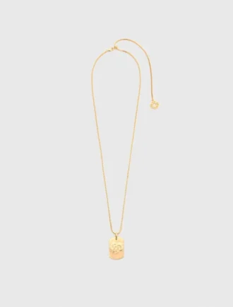 Collar con placa del signo del zodiaco