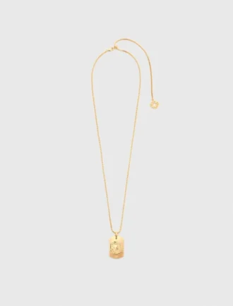 Collar con placa del signo del zodiaco