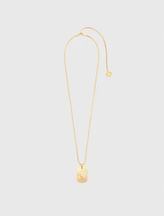 Collar con placa del signo del zodiaco