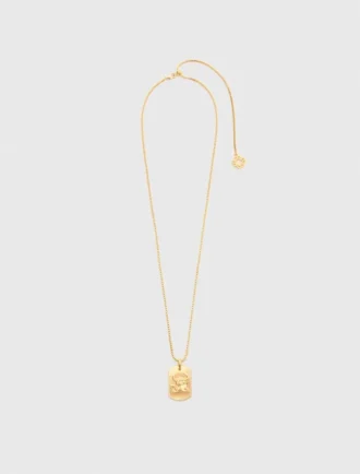 Collar con placa del signo del zodiaco