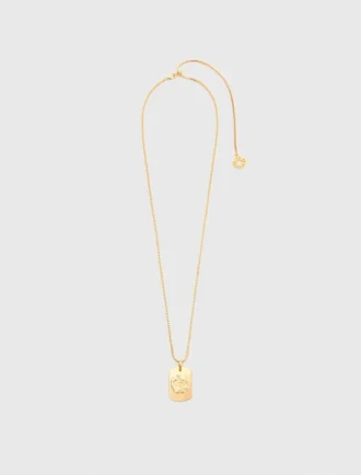 Collar con placa del signo del zodiaco