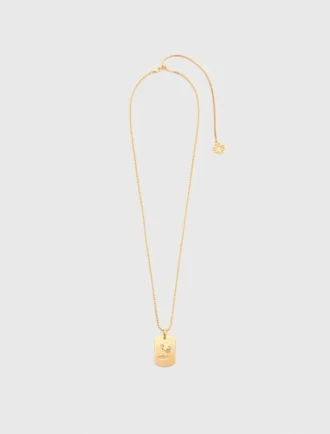 Collar con placa del signo del zodiaco