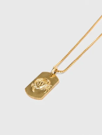 Collar con placa del signo del zodiaco