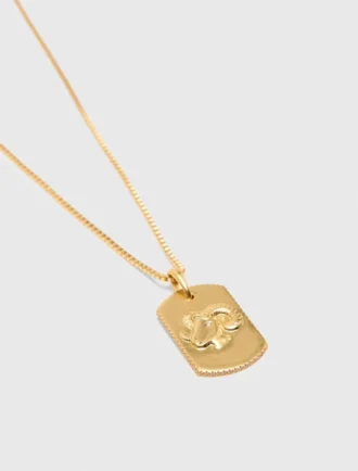 Collar con placa del signo del zodiaco