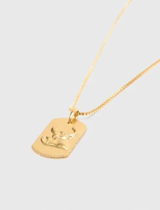 Collar con placa del signo del zodiaco