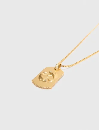 Collar con placa del signo del zodiaco
