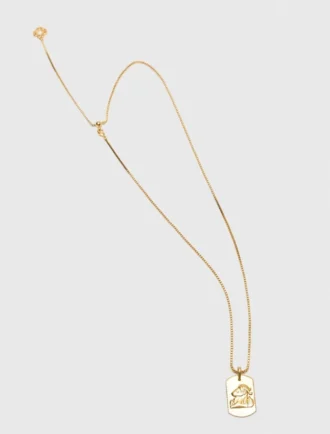 Collar con placa del signo del zodiaco