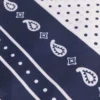 Pañuelo de seda estampado de 60 x 60